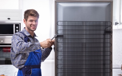 ремонт-лібхер